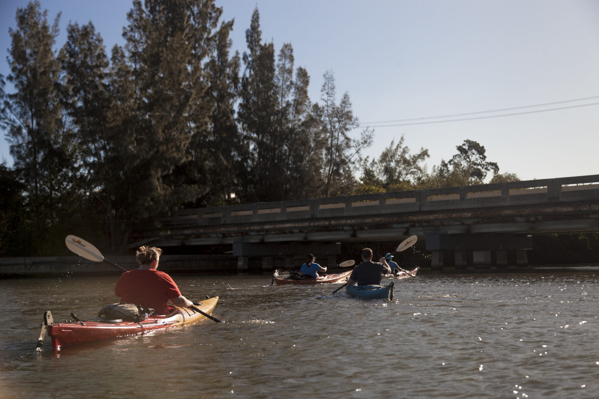 Wabasso Causeway Adventure Kayaking Tours