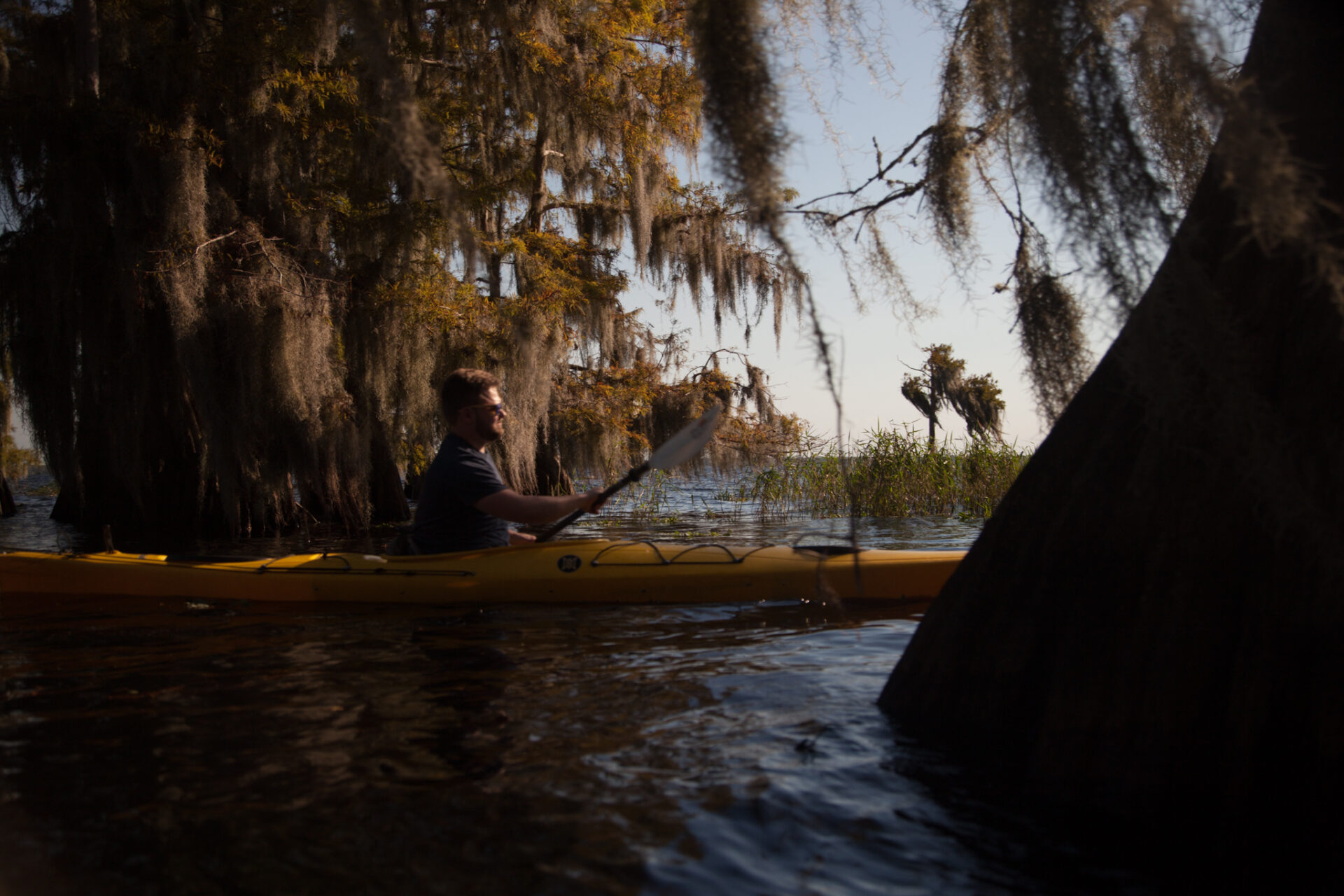 Blue Cypress Lake - Adventure Kayaking Tours