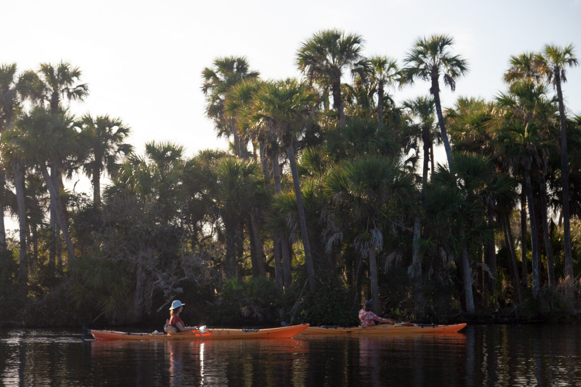 St. Sebastian River Adventure Kayaking Tours